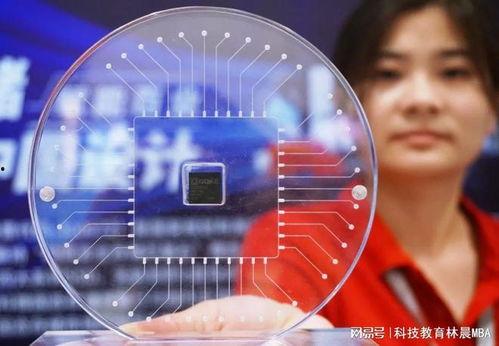 52每日大瓜视频 社会热点话题2025,聚焦52每日大瓜视频